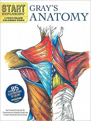 Start Exploring: Gray's Anatomy