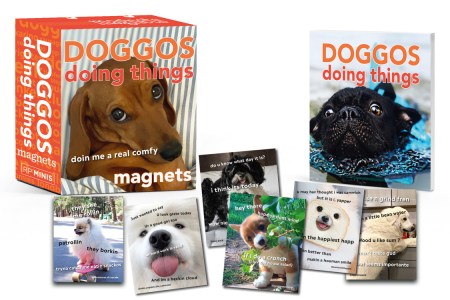 Doggos Doing Things Magnets