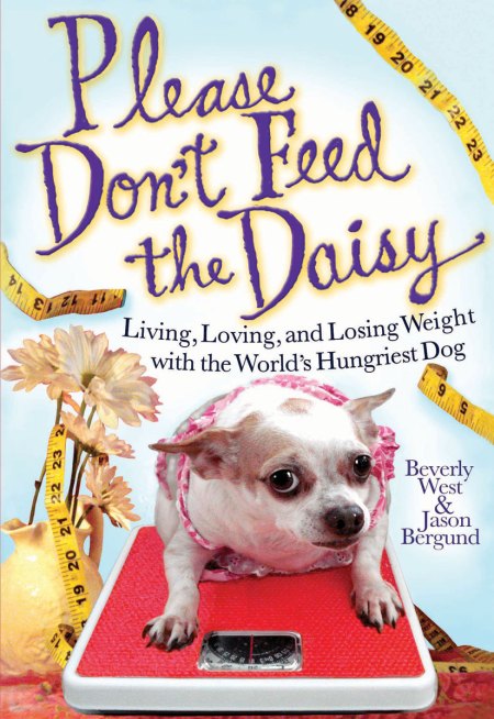 Please Don’t Feed the Daisy