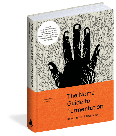 The Noma Guide to Fermentation