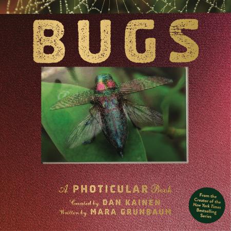 Bugs By Dan Kainen
