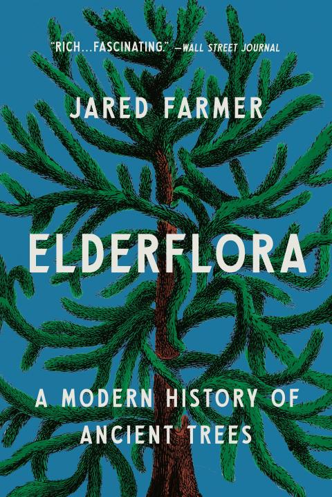 Elderflora